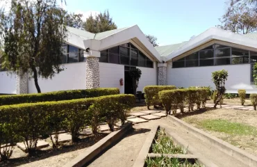 Day Trip to Arusha Declaration Museum