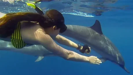 Dolphin Watching Day Trip in Kizimkazi