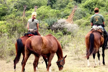 Horse Riding Day Tour Near Arusha