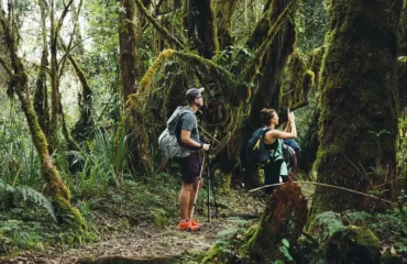 Kilimanjaro Foothills Day Tour