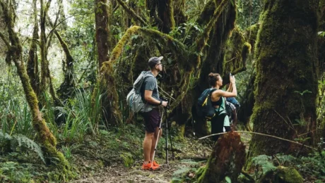 Kilimanjaro Foothills Day Tour
