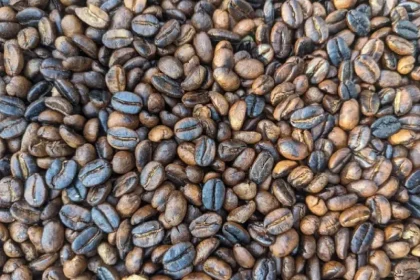 Local Coffee Roasting and Tasting Tour