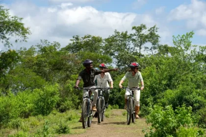 Mountain Bike Day Tour in Usa River