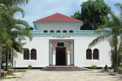 Visiting the National Museum of Tanzania in a Day