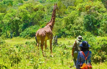 Walking Safari in Arusha National Park