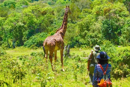 Walking Safari in Arusha National Park