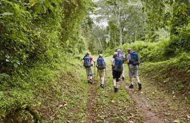 walking-tours-focused-on-flora-and-fauna Walking Tours Focused on Flora and Fauna