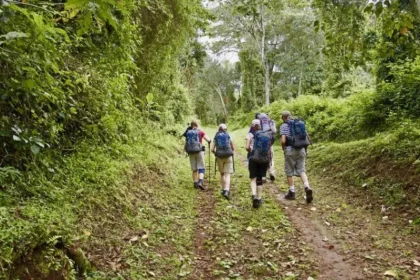 Walking Tours Focused on Flora and Fauna