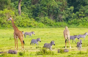 Dar es salaam weekend Trips