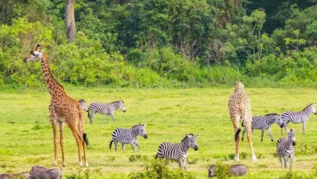 Dar es salaam weekend Trips Dar es salaam weekend Trips