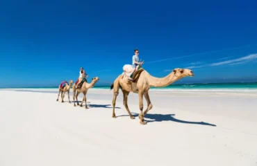 Beach Activities in Kenya for Visitors