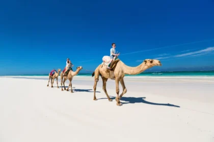 Beach Activities in Kenya for Visitors