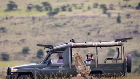 budget-safari-tours-for-afcon-travelers Budget Safari Tours for AFCON Travelers