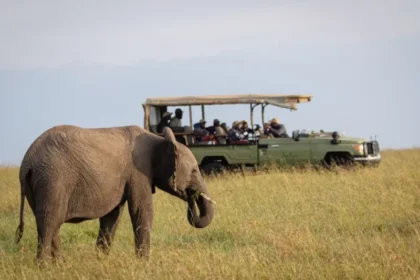 Combining Football and Safari in Kenya