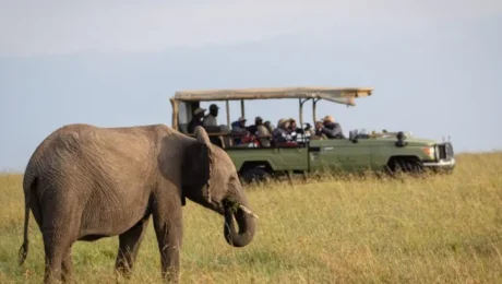 combining-football-and-safari-in-kenya Combining Football and Safari in Kenya