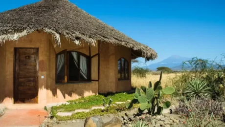 Lodges Near Mount Kilimanjaro DURING AFCON