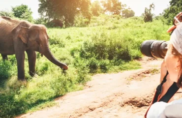 Photography Spots in Nairobi for Travelers