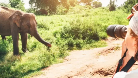 Photography Spots in Nairobi for Travelers