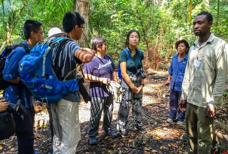 Guided Forest Walk