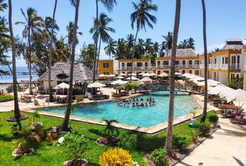 Jozan Forest-Accommodation Options