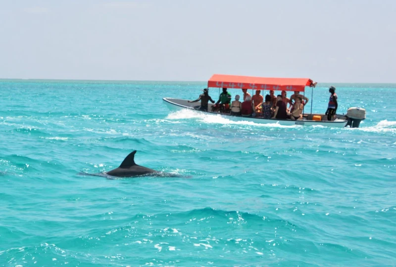 MNEMBA ISLAND