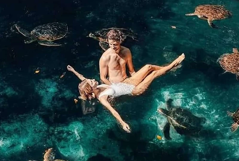 Visit the Turtle Aquarium