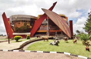 Arusha City Guide