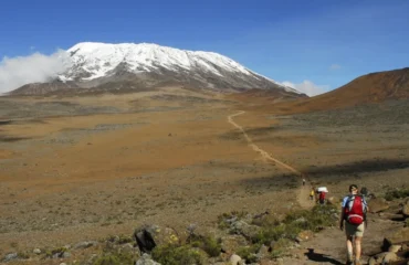 Kilimanjaro Climbing Guide