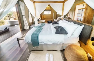 Tanzania Safari Costs Explained