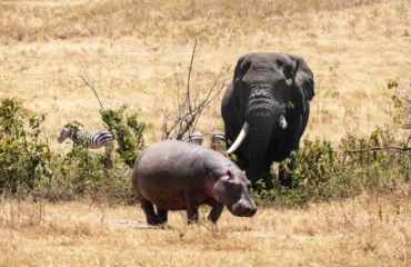 Tanzania travel tips