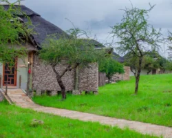 Best Safari Camps and Lodges Near Arusha