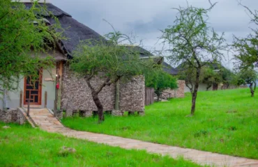 Best Safari Camps and Lodges Near Arusha