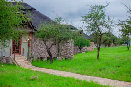 Best Safari Camps and Lodges Near Arusha