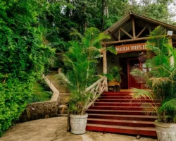 Hidden Gem Accommodations in Arusha