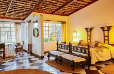 Where to Stay in Arusha Before Your Serengeti Safari