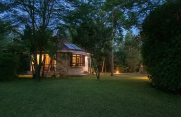 Where to Stay in Arusha During the Great Migration Season