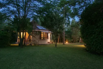 Where to Stay in Arusha During the Great Migration Season