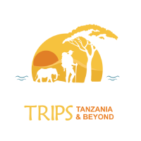 Tour Tamu Africa Logo